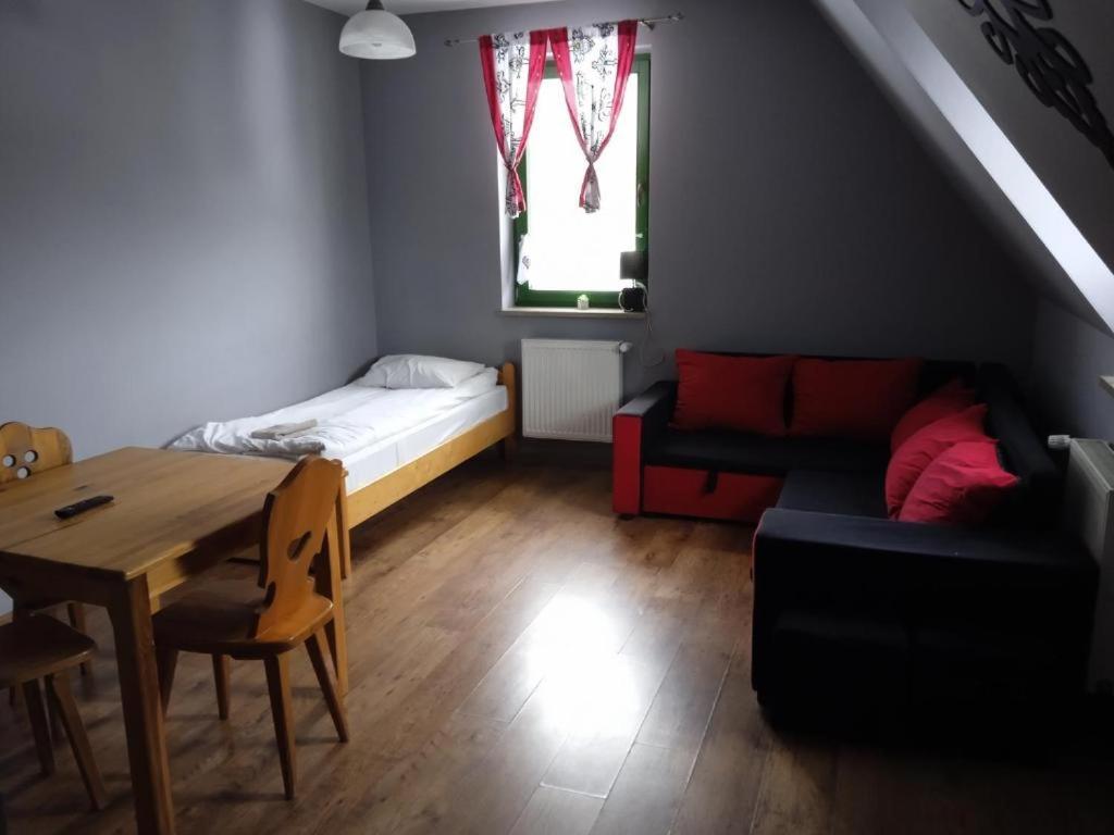 Apartamenty Pokoje Nowotarska 扎科帕内 外观 照片