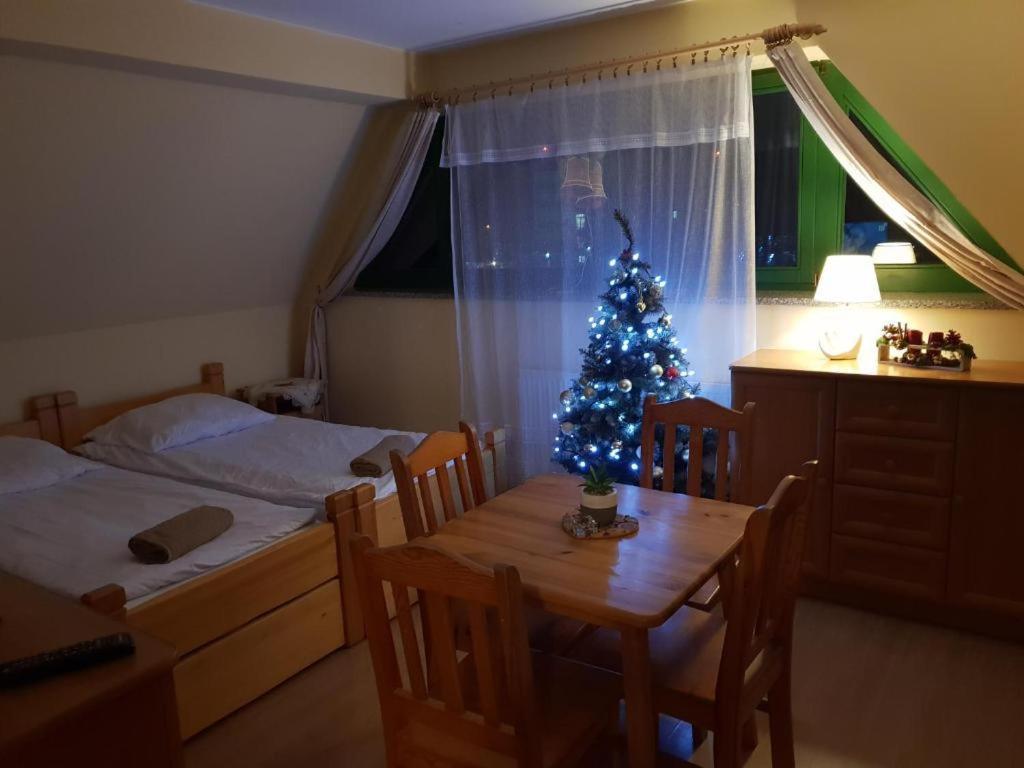 Apartamenty Pokoje Nowotarska 扎科帕内 外观 照片